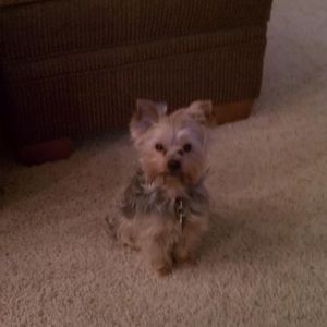 Meet your Posher, Matthew